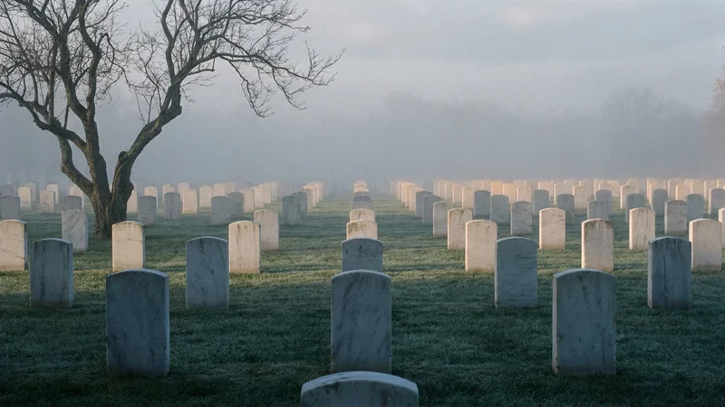 Memorial Day 2026: Mesothelioma Still Isn't a VA Presumptive Disease