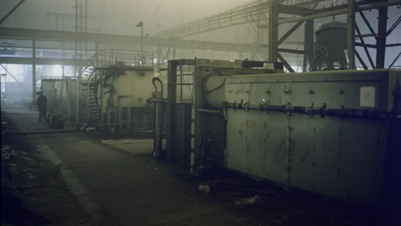 Mesothelioma Prognosis & Life Expectancy