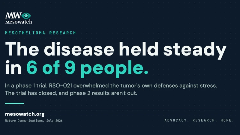 Mesothelioma Drug RSO-021 Controlled Disease in 6 of 9 People