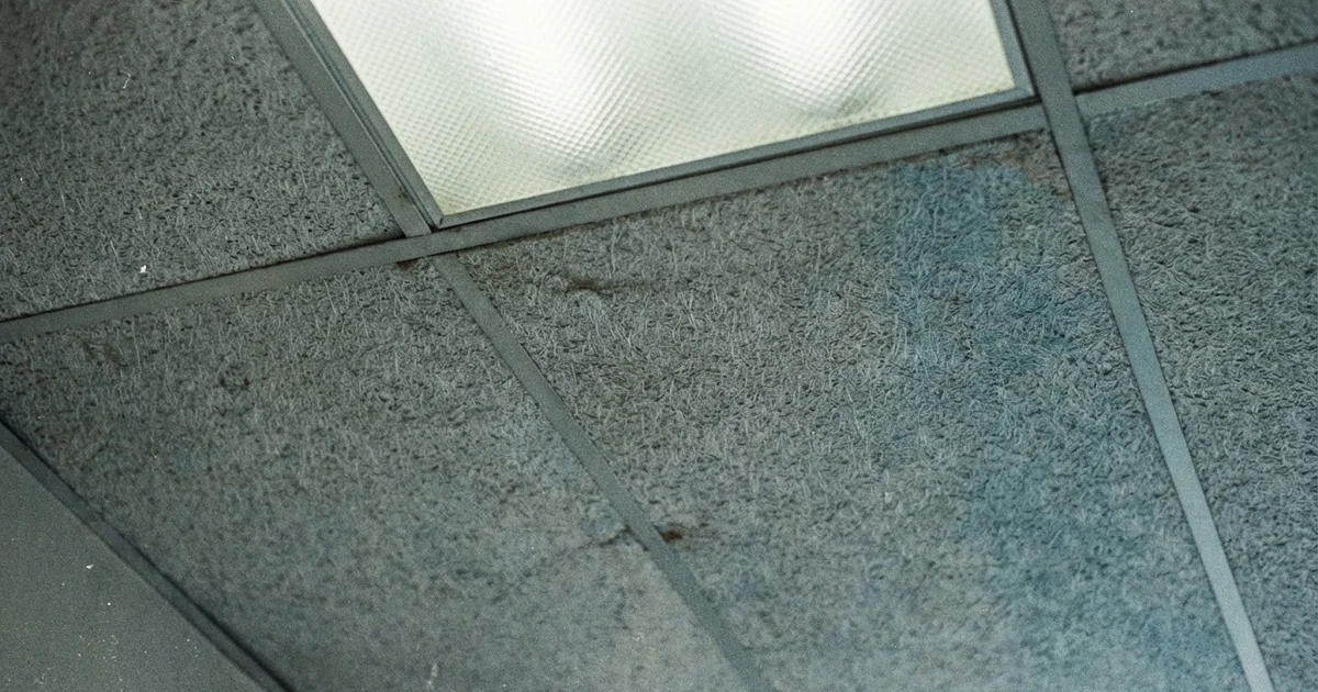 Ceiling Tiles & Asbestos