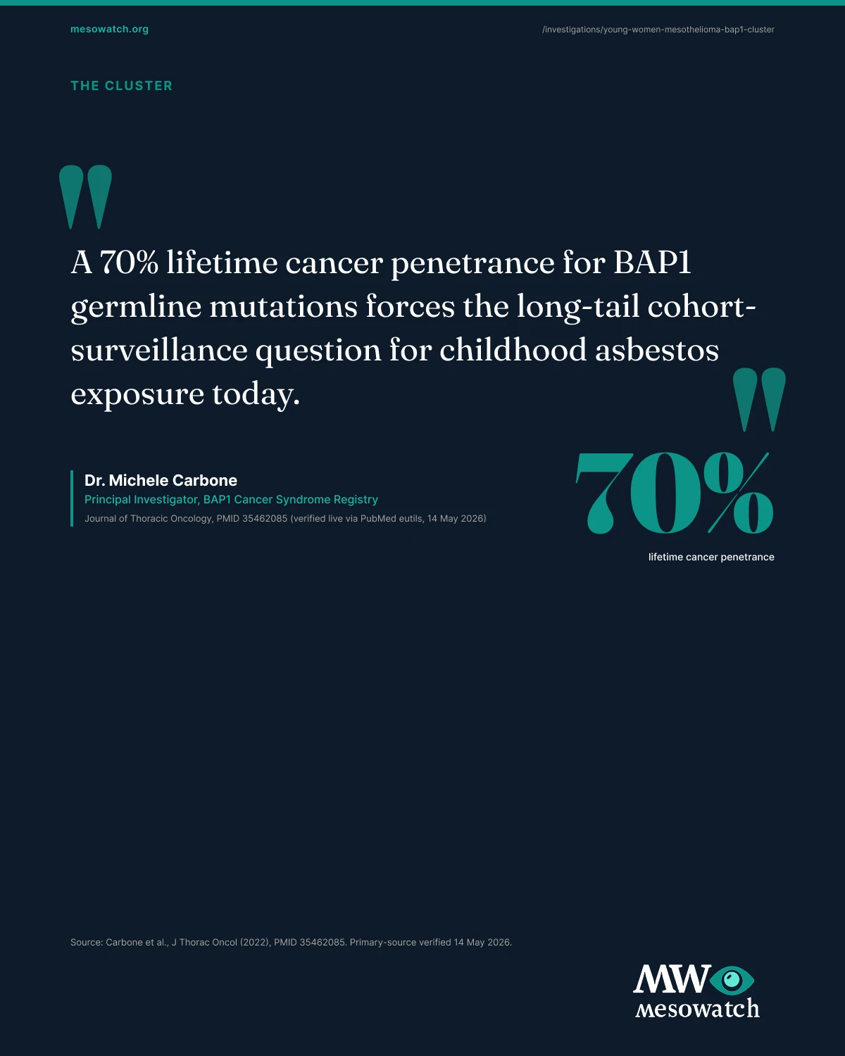 The full young patients, mesothelioma, and bap1 report, in one image. The full report composite is available for download and embed in any covering outlet.